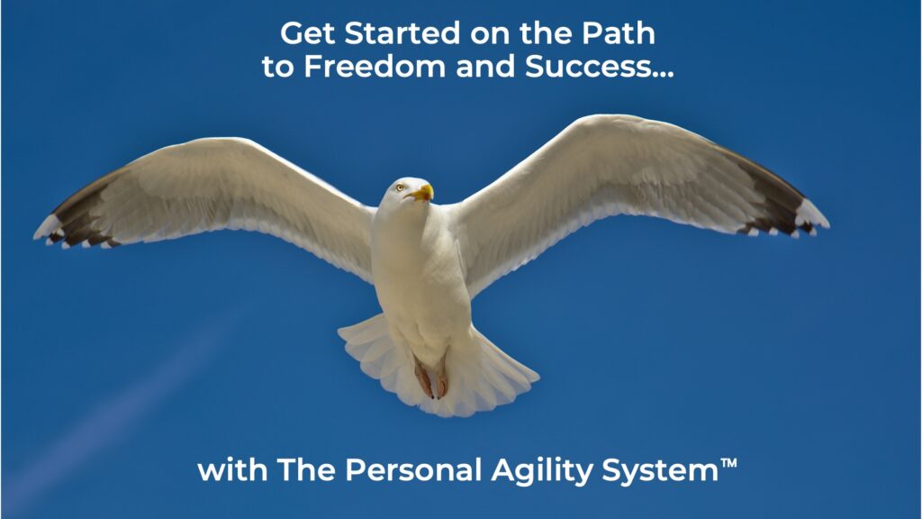 Get Started on the Path to Freedom and Success with The Personal Agility System™