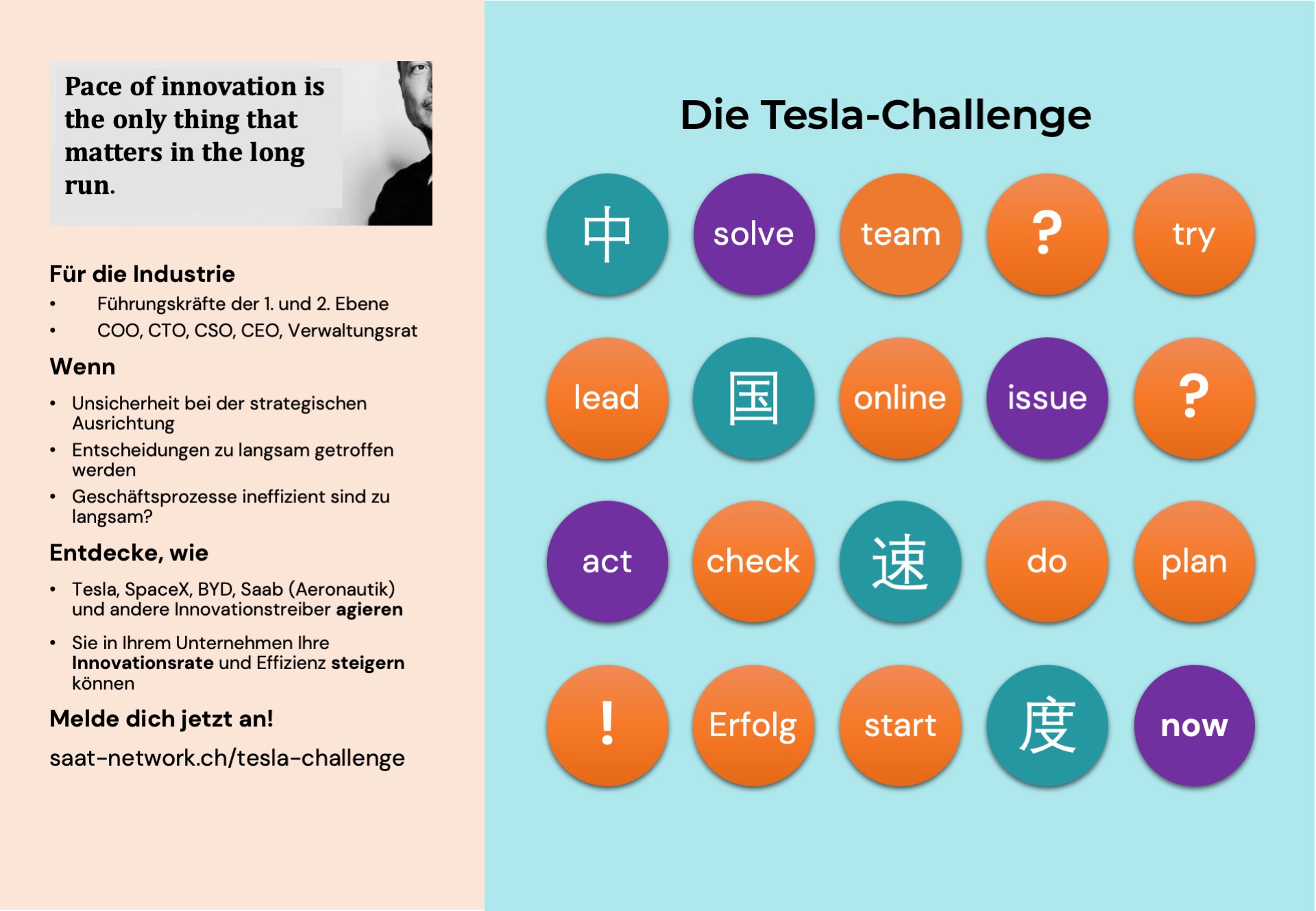 Meeting the Tesla Challenge (Deutscher Sprache)